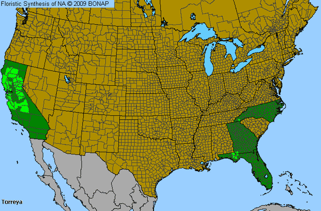 Allergies By County Map For California-Nutmeg, Florida-Nutmeg