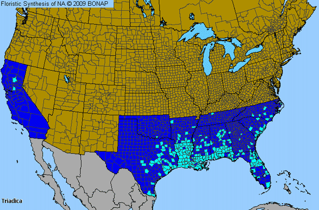 Allergies By County Map For Chinese Tallowtree