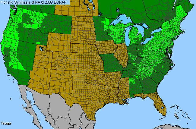 Allergies By County Map For Hemlock