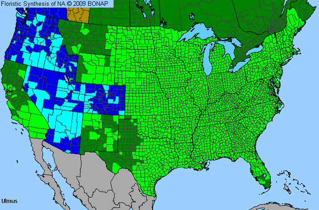 Allergies By County Map For Elm