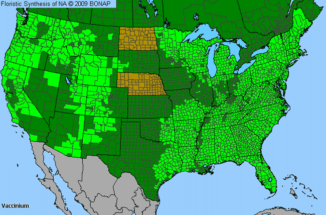 Allergies By County Map For Blueberry, Cranberry