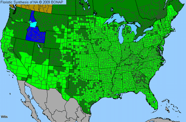 Allergies By County Map For Grape