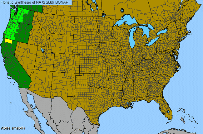 Allergies By County Map For Pacific Silver Fir