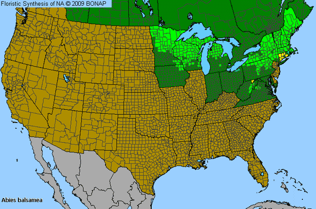 Allergies By County Map For Balsam Fir