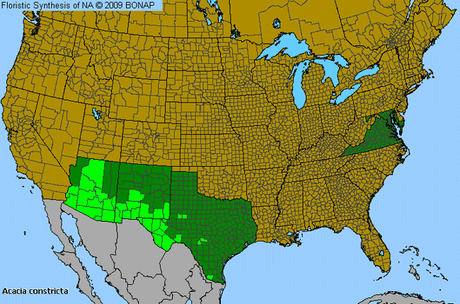 Allergies By County Map For Mescat Wattle