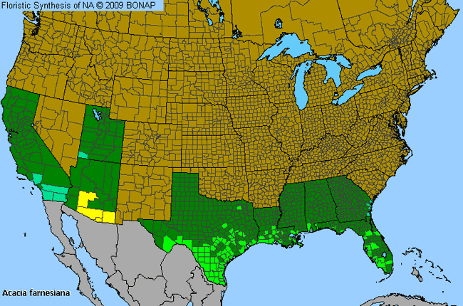 Allergies By County Map For Mealy Wattle