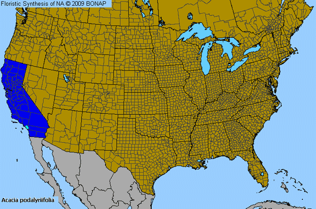 Allergies By County Map For Pearl Wattle