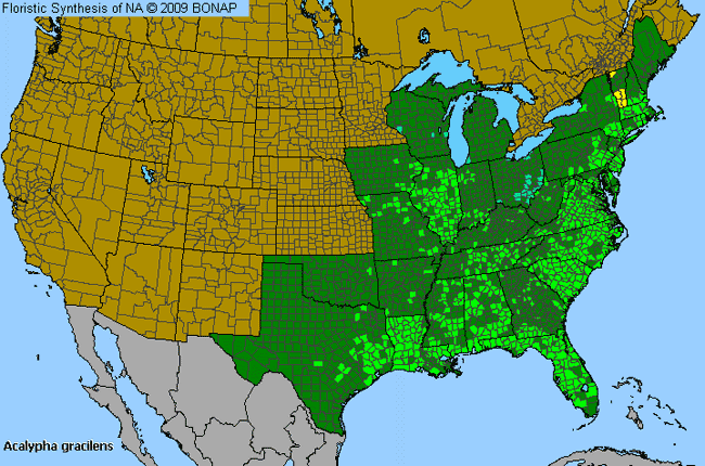 Allergies By County Map For Slender Three-Seed-Mercury