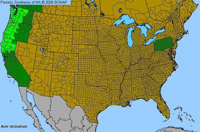 Allergies By County Map For Vine Maple