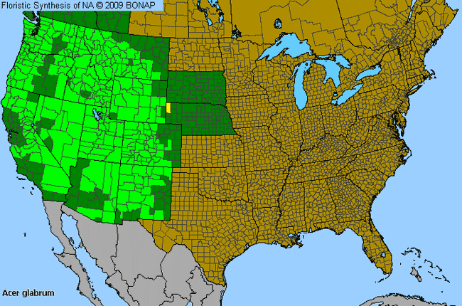 Allergies By County Map For Rocky Mountain Maple