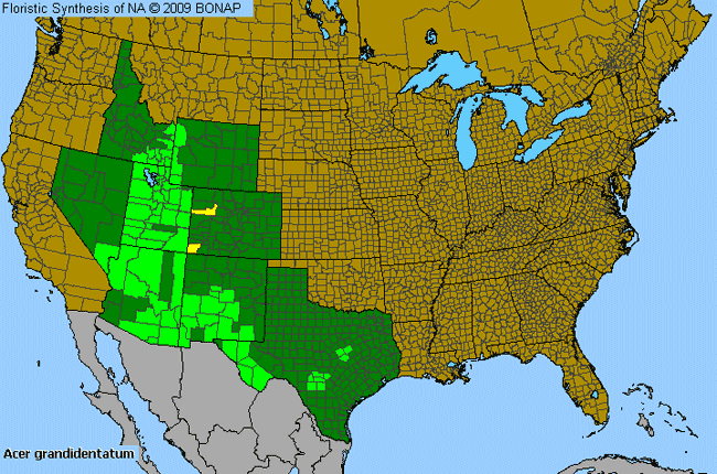 Allergies By County Map For Canyon Maple