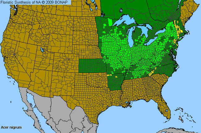 Allergies By County Map For Black Maple