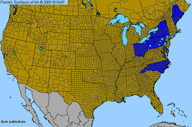 Allergies By County Map For Japanese Maple