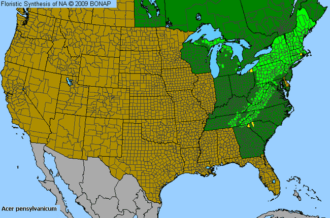 Allergies By County Map For Striped Maple