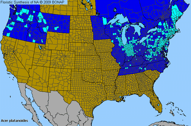 Allergies By County Map For Norway Maple