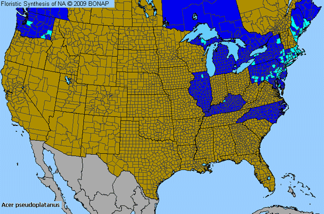 Allergies By County Map For Sycamore Maple