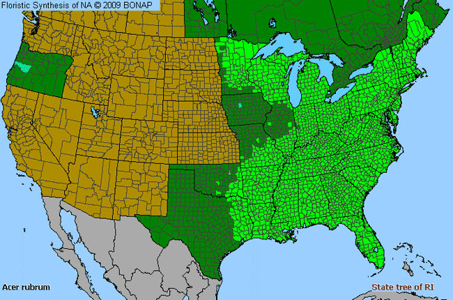 Allergies By County Map For Red Maple