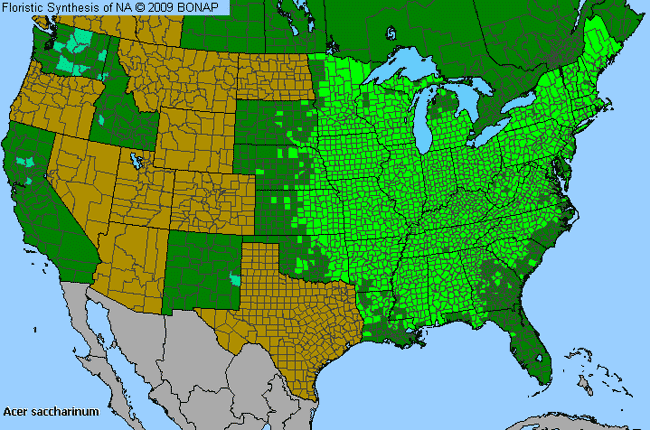 Allergies By County Map For Silver Maple