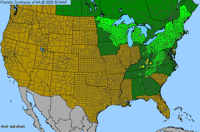 Allergies By County Map For Mountain Maple