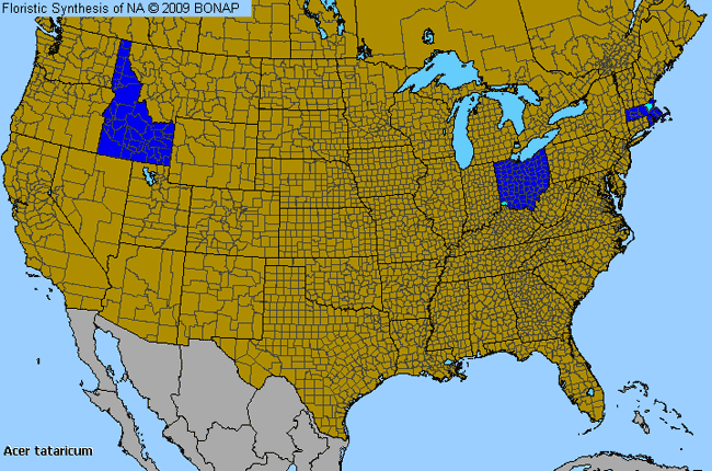 Allergies By County Map For Tatarian Maple