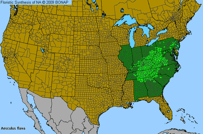 Allergies By County Map For Yellow Buckeye