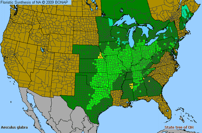 Allergies By County Map For Ohio Buckeye