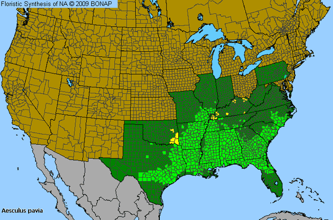 Allergies By County Map For Red Buckeye