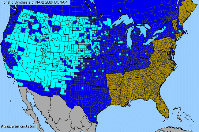 Allergies By County Map For Crested Wheat Grass