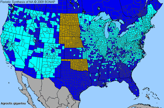 Allergies By County Map For Black Bent