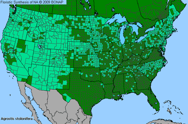 Allergies By County Map For Spreading Bent