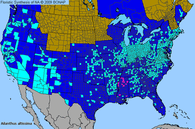 Allergies By County Map For Tree-of-Heaven