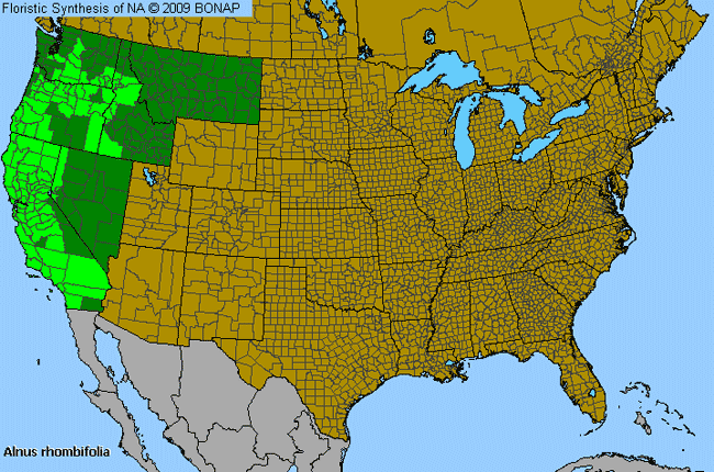 Allergies By County Map For White Alder