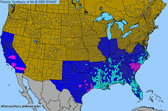 Allergies By County Map For Alligator-Weed