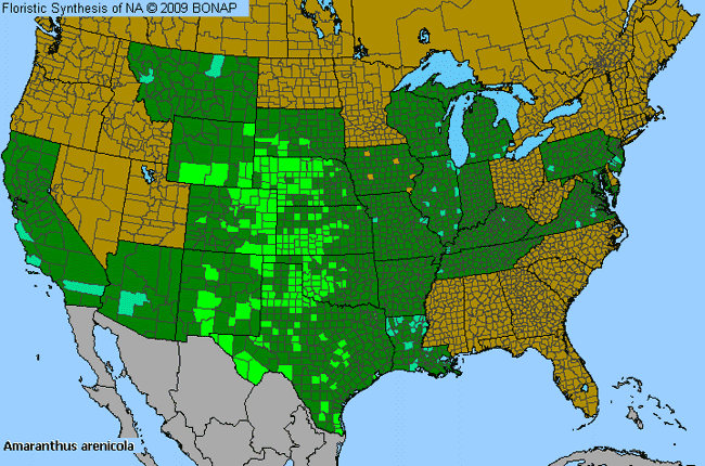 Allergies By County Map For Sandhill Amaranth