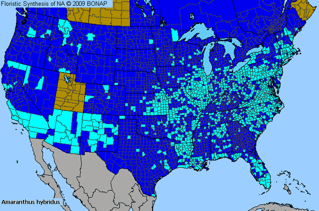 Allergies By County Map For Smooth Amaranth