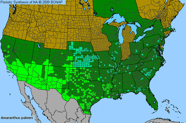 Allergies By County Map For Palmer's Amaranth