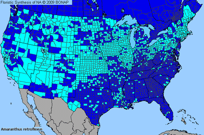 Allergies By County Map For Red-Root Amaranth