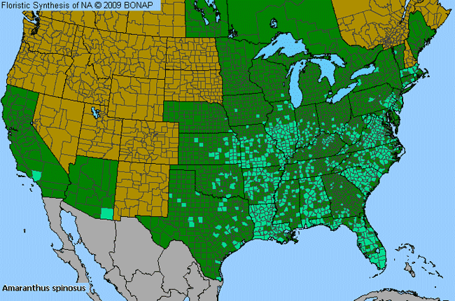 Allergies By County Map For Spiny Amaranth