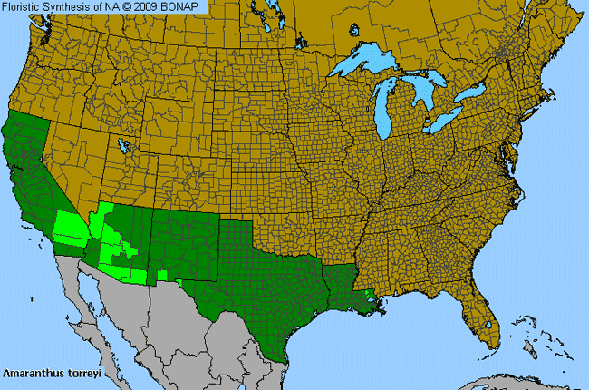 Allergies By County Map For Torrey's Amaranth