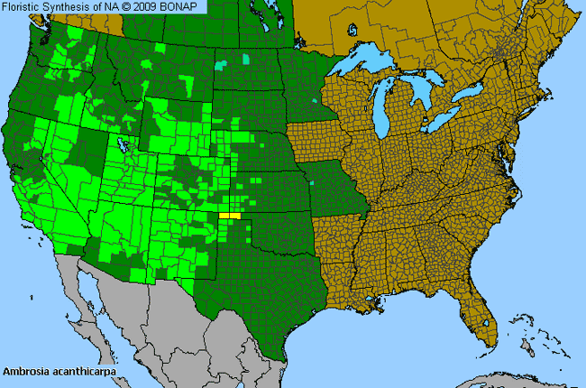 Allergies By County Map For Flat-Spine Burr-Ragweed