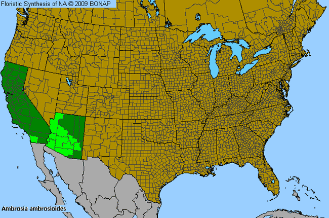 Allergies By County Map For Ambrosia-Leaf Burr-Ragweed