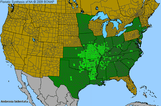 Allergies By County Map For Lance-Leaf Ragweed