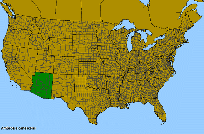 Allergies By County Map For Hairy Ragweed