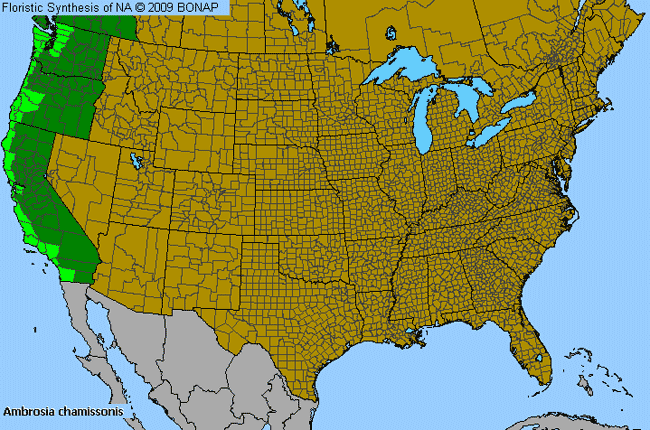 Allergies By County Map For Silver Burr-Ragweed