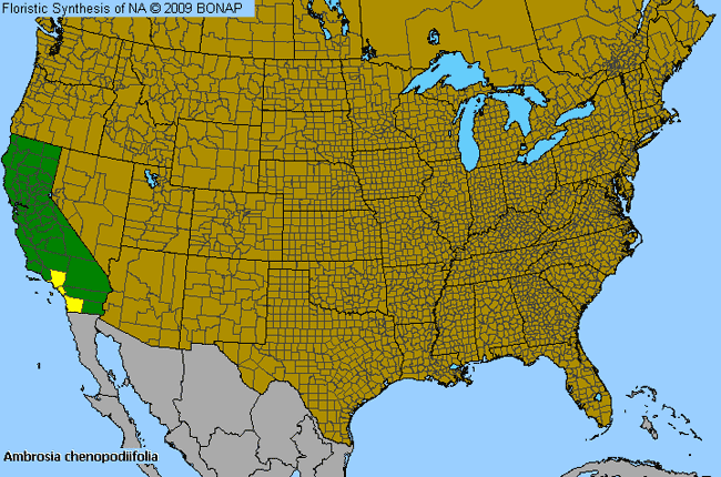 Allergies By County Map For San Diego Burr-Ragweed