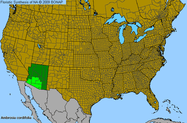 Allergies By County Map For Tucson Burr-Ragweed