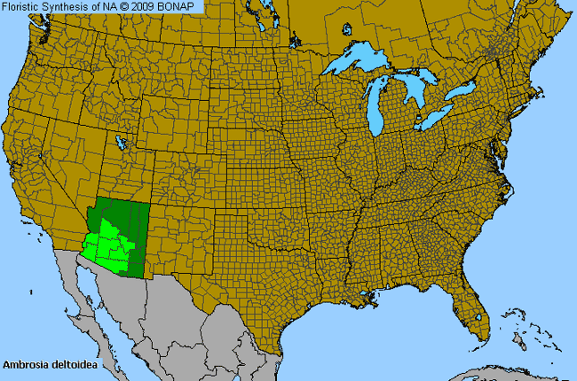 Allergies By County Map For Triangle Burr-Ragweed