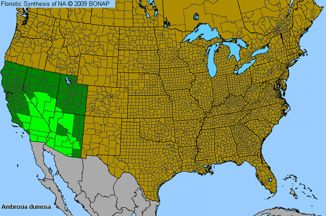 Allergies By County Map For White Burrobush