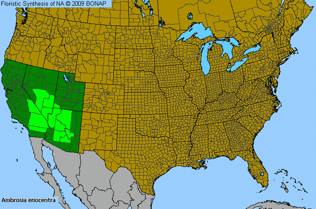 Allergies By County Map For Woolly-Fruit Burr-Ragweed