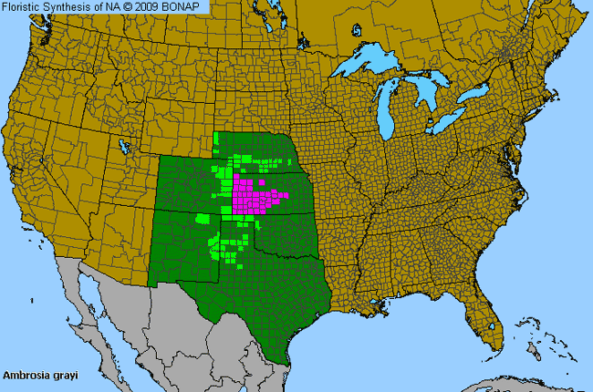 Allergies By County Map For Woolly-Leaf Burr-Ragweed